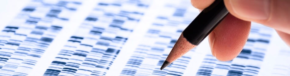 Scientist analyzes DNA gel used in genetics. Scientist analyzes DNA gel used in genetics.