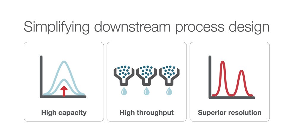 POROS resins exhibit high capacity, high throughput, and superior resolution capabilities POROS resins exhibit high capacity, high throughput, and superior resolution capabilities