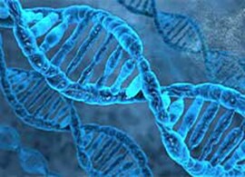 Nucleic Acid Purification Solutions Nucleic Acid Purification Solutions