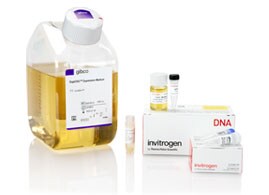 Gibco Freedom Cell Line Development Kits Gibco Freedom Cell Line Development Kits