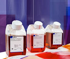 Gibco EfficientFeed A+, B+, and C+ feeding supplements Family of Gibco EfficientFeed A+, B+, and C+ feeding supplements available as ready to use super-concentrated liquids.