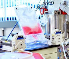 Harvestainer BioProcess Container (BPC) Harvestainer BioProcess Container (BPC)