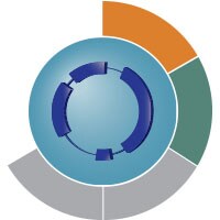 Residual Plasmid DNA Quantitation Decorative image for Residual Plasmid DNA Quantitation