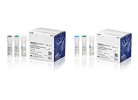 ViralSEQ dPCR Physical & Proviral Titer Kits ViralSEQ dPCR Physical & Proviral Titer Kits