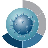 Adventitious Virus Testing Adventitious Virus Testing