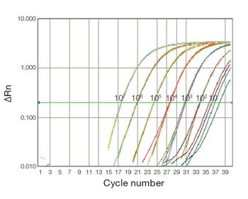 The ViralSEQ MMV Assay can detect from 107 to 10 copies of MMV genomic DNA per reaction. The ViralSEQ MMV Assay can detect from 107 to 10 copies of MMV genomic DNA per reaction.