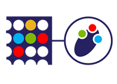 Custom chromatography graphic Custom chromatography graphic