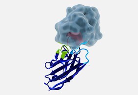 Custom affinity ligand and resin development Custom affinity ligand and resin development