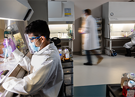 Gibco media development service Scientist maintaining cell cultures in a laboratory