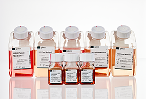 Viral vector HEK media and feed panel gibco-hek-media-bottles