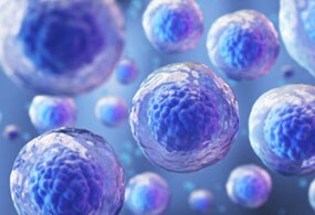 media-cust-services-showcase media-cust-services-showcase