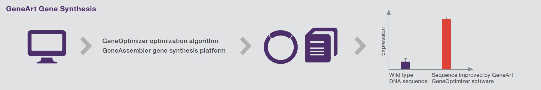 GeneArt Gene Synthesis Process Optimization Illustration showing the process for gene optimization and a graph showing the improvement in protein expression obtained