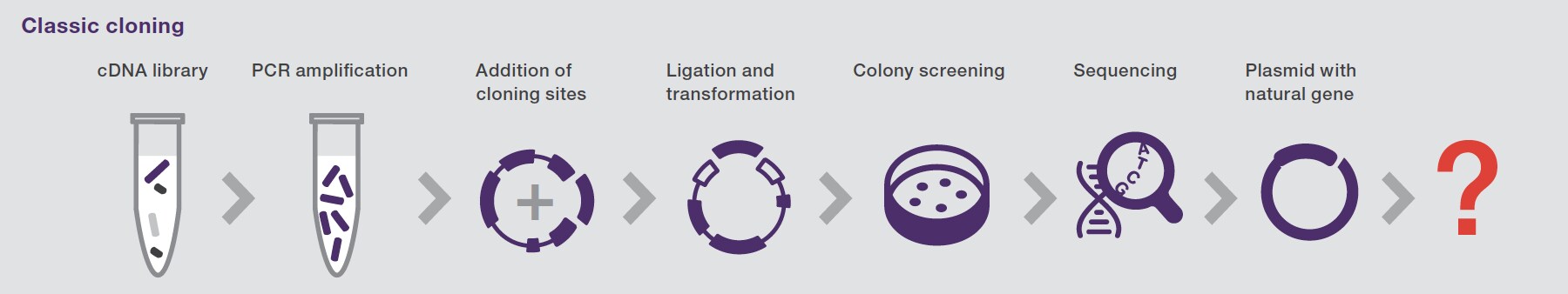 Classic cloning diagram Diagram showing a 7-step gene cloning procedure starting with a cDNA library and ending with a plasmid