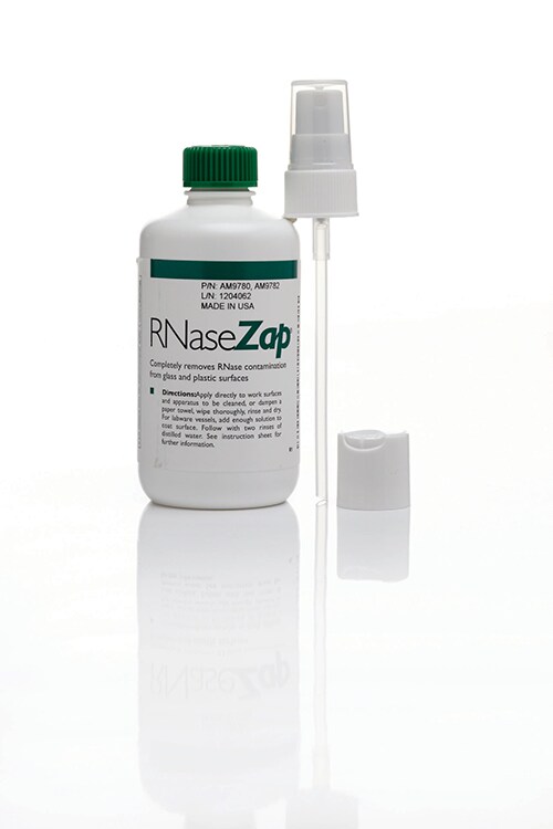 RNA提取产品 RNA提取产品