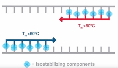 如何简化 PCR 优化步骤中的引物退火 | Thermo Fisher Scientific - CN