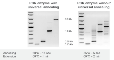 pcr引物退火温度-赛默飞 | Thermo Fisher Scientific - CN
