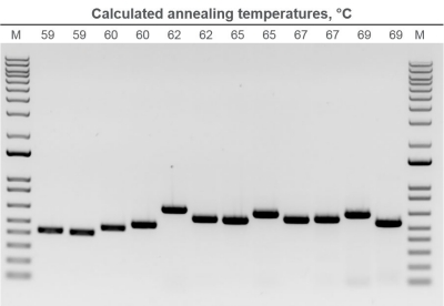 如何简化 PCR 优化步骤中的引物退火 | Thermo Fisher Scientific - CN