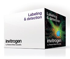 Molecular Probes 产品品牌 Molecular Probes 产品盒照片