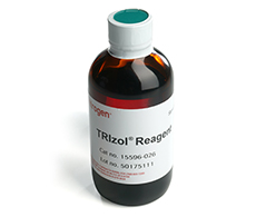 TRIzol RNA 分离试剂 TRIzol RNA 分离试剂