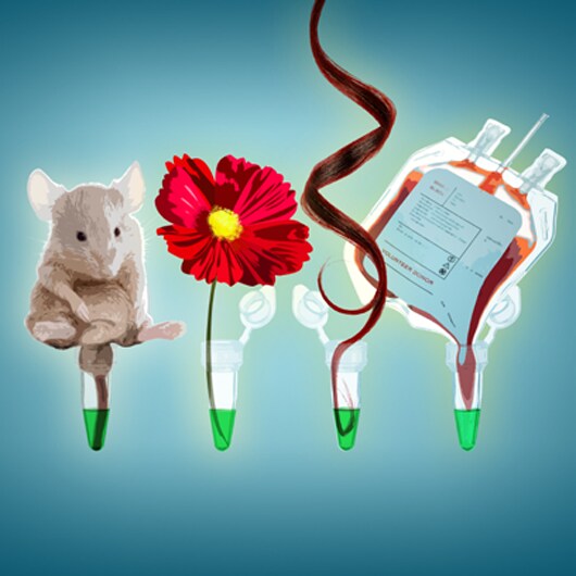 Direct PCR Kits Direct PCR Kits