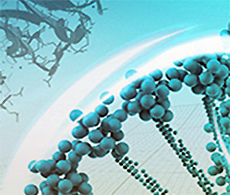 Checking Your T4 DNA Ligase Activity Checking Your T4 DNA Ligase Activity