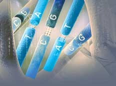 Oligos for novel molecular research beyond PCR decorative image
