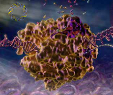 TranscriptAid T7 High Yield Transcription Kit stylized illustration representing TranscriptAid T7 High Yield Transcription Kit