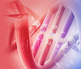 Oligonucleotide Applications in Research Decorative