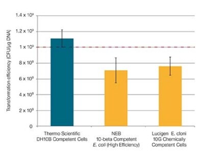 Thermo Scientific DH10B competent cells Thermo Scientific DH10B competent cells