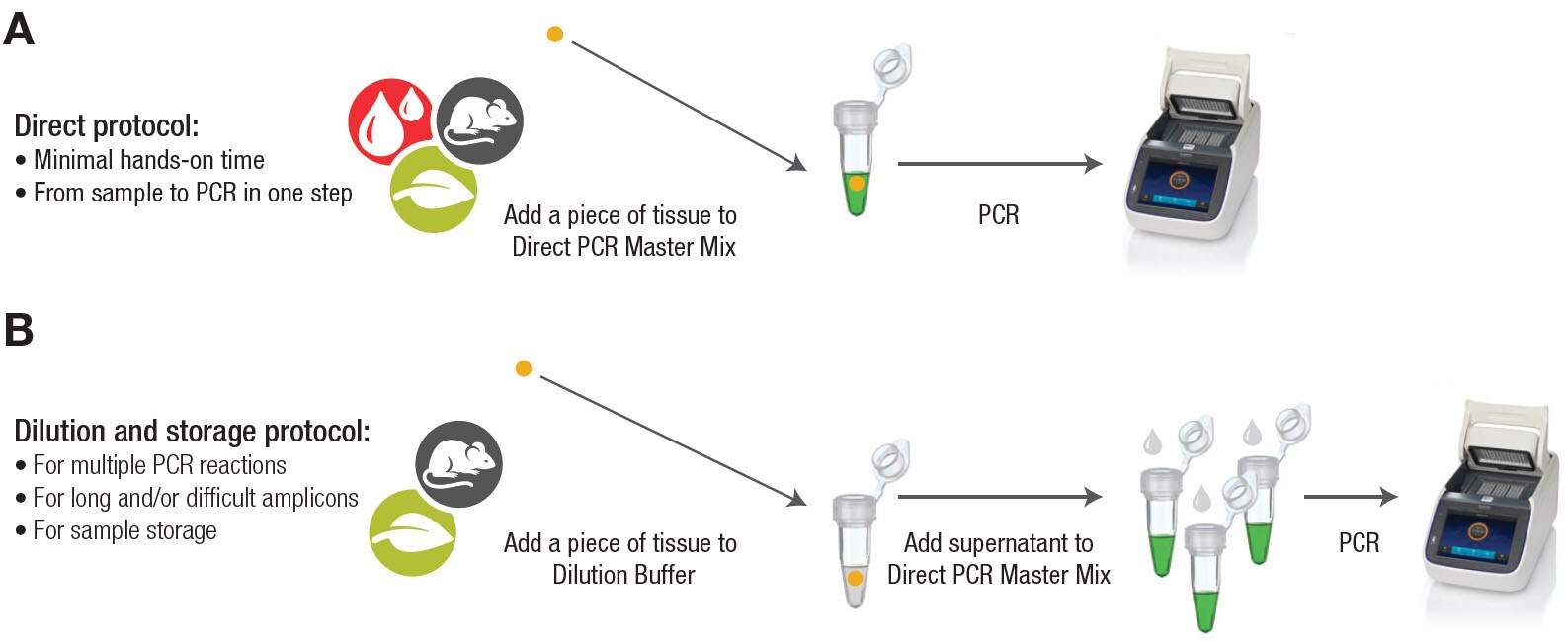 Direct PCR protocols Composite of two workflow schematics stacked one over the other. Workflow A depicts direct protocol which workflow B depicts dilution and storage protocol