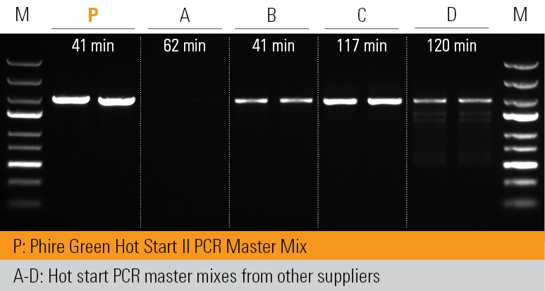 Phire 热启动 II PCR 预混液实现出色的靶标产量 Phire 热启动 II PCR 预混液实现出色的靶标产量