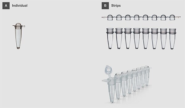 Types of PCR tubes Panel A shows an individual PCR tube with attached domed cap and panel B shows an 8-strip PCR tube with an 8-strip PCR cap and an 8-strip PCR tube with attached caps