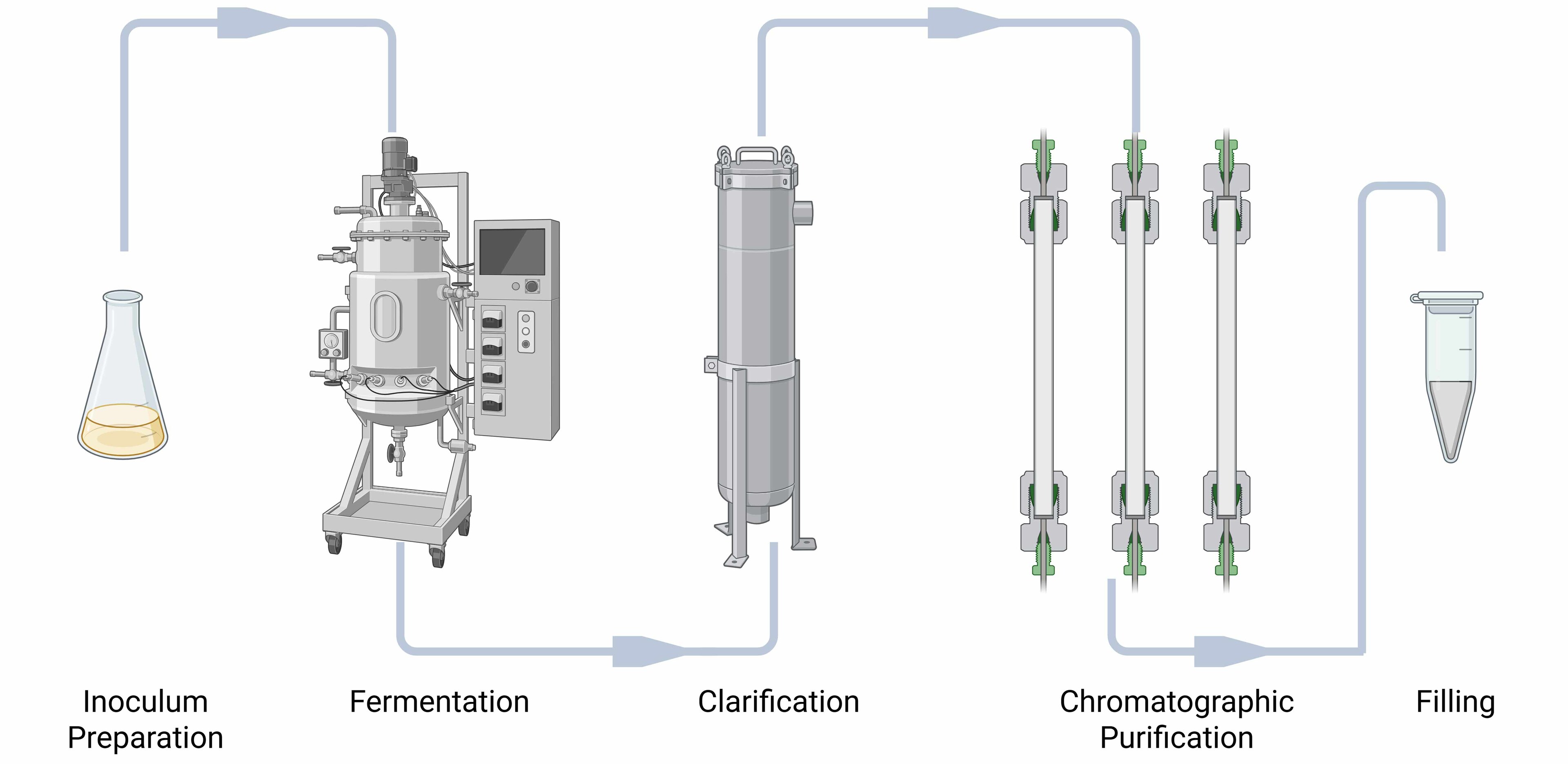 rBSA manufacturing schematic Schematic of the manufacturing process for rBSA
