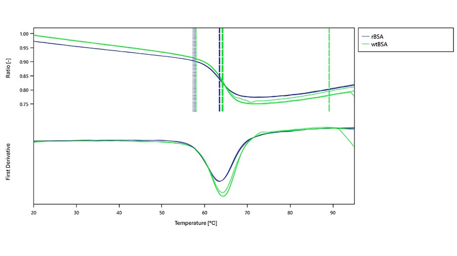 Native BSA and rBSA thermal shift Thermal shift trace comparing native BSA to recombinant BSA