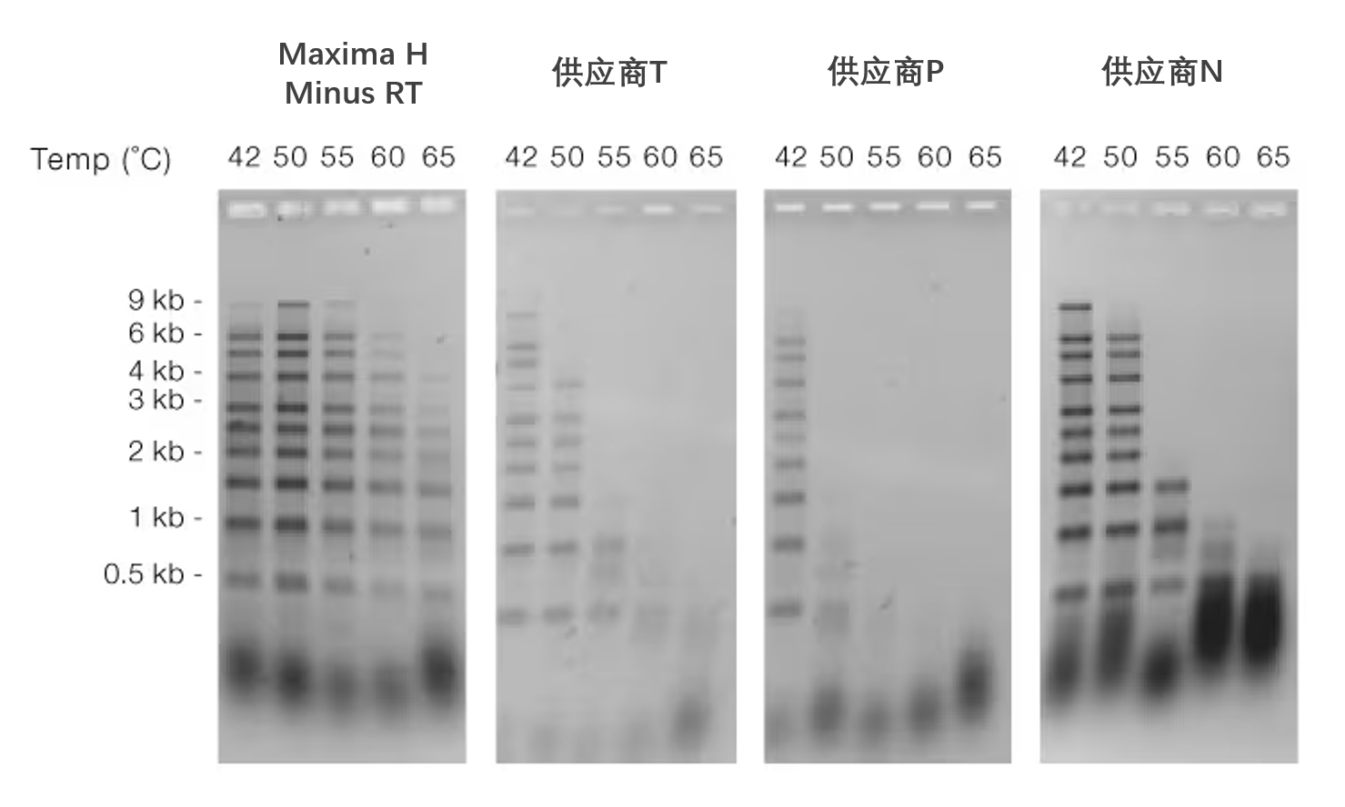High yields of cDNA over a broad temperature range High yields of cDNA over a broad temperature range