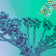 5-hmC and 5-mC analysis kits 5-hmC and 5-mC analysis kits