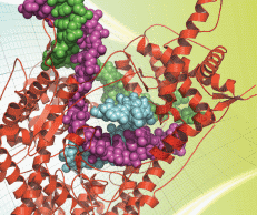 In Vitro Transcription In Vitro Transcription