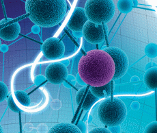 Molecular Labeling & Detection—Thermo Scientific Molecular Labeling & Detection—Thermo Scientific
