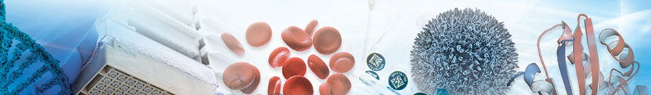 2019ciie-new-products-950x140 2019ciie-new-products-950x140