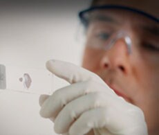 Immunohistochemistry Immunohistochemistry