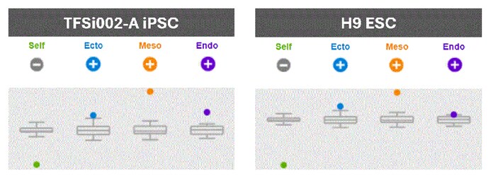 Trilineage differentiation potential gene-expression plots for differentiation markers