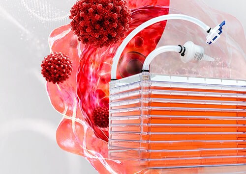 Nunc Standard Closed Cell Factory System pictured with artist's rendering of a cell Nunc Standard Closed Cell Factory System pictured with artist's rendering of a cell