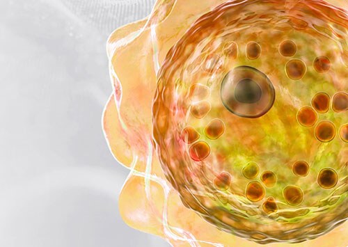 Thermo Fisher Scientific Cell-based Immunotherapy Solutions Abstract imagery of a yellow cell as part of a cell therapy solution