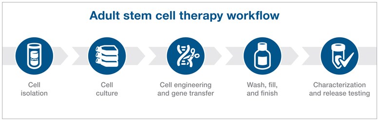 Adult stem cell therapy workflow graphical workflow showing 5 steps for adult stem cell therapy