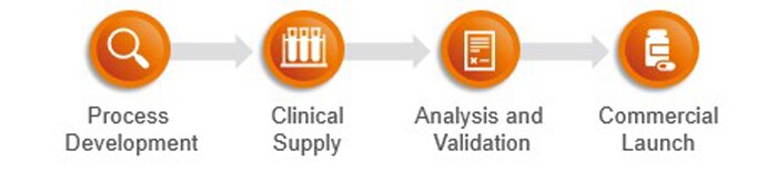 Viral vector services workflow 4-step workflow graphic including process development, clinical supply, analysis and validation, and commercial launch