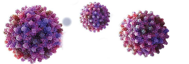 AAV Production Workflow Artist’s rendition of AAV virus particles