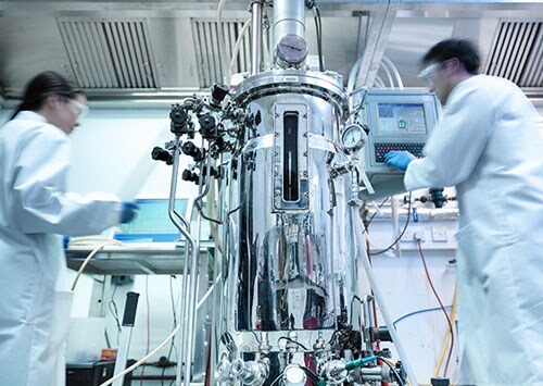 Two scientists developing viral vectors for gene therapy Two scientists developing viral vectors for gene therapy