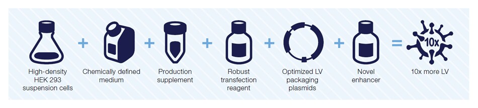 Gibco LV-MAX 慢病毒生产系统工作流程 从悬浮培养到 LV 颗粒的七个阶段示意图