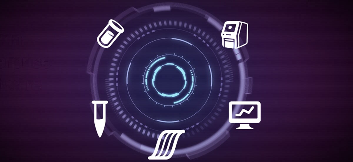 software-purple software-purple