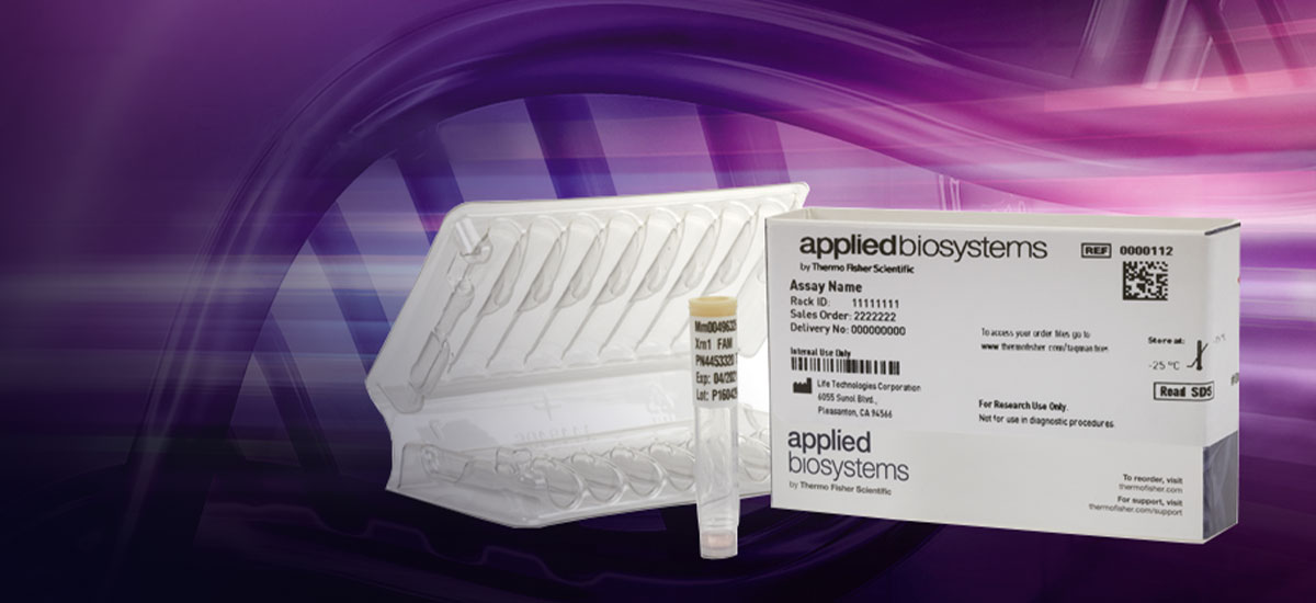 Assays-purple Assays-purple